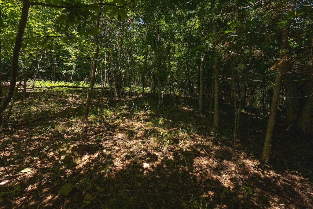 Lot 205 Acres CT - Photo 22