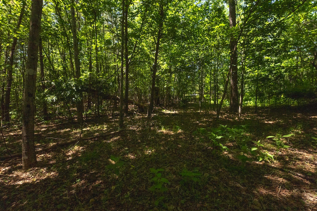 Lot 205 Acres CT - Photo 25