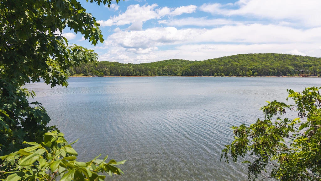 Lot 205 Acres CT - Photo 5