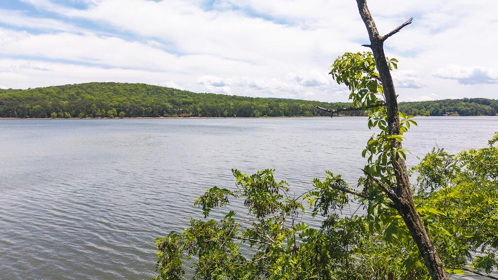 Lot 205 Acres CT - Photo 6
