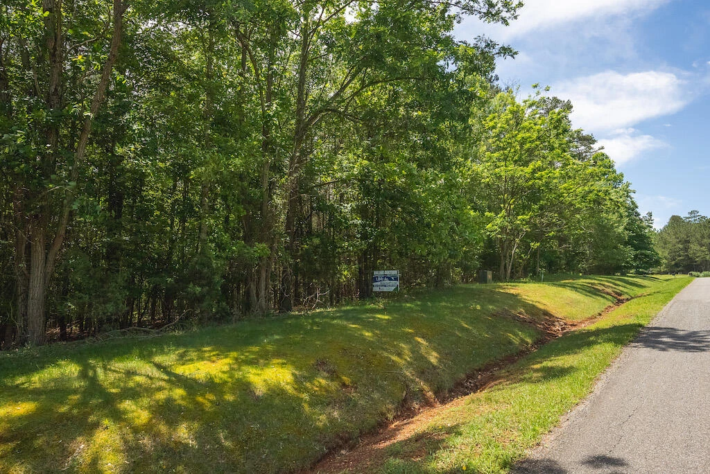 Lot 205 Acres CT - Photo 7