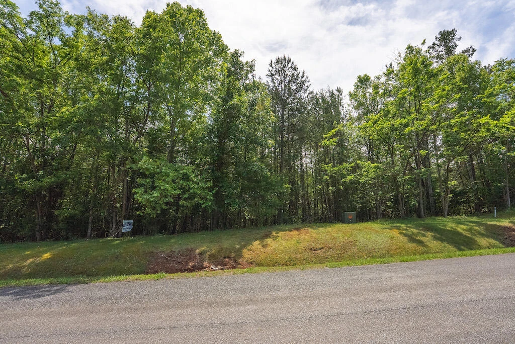 Lot 205 Acres CT - Photo 8