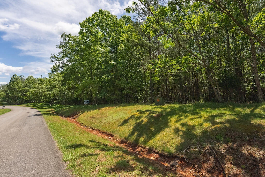Lot 205 Acres CT - Photo 9