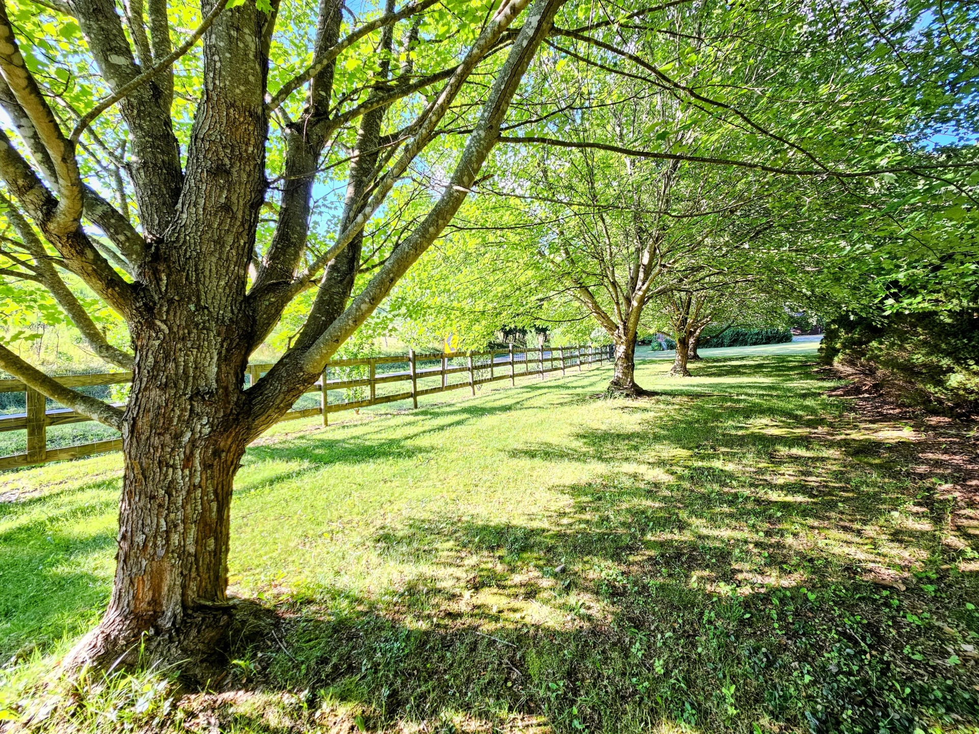8438 Cumberland Gap RD - Photo 27