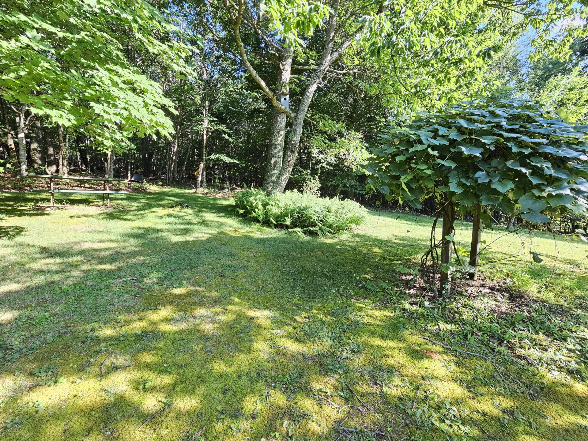 8438 Cumberland Gap RD - Photo 30