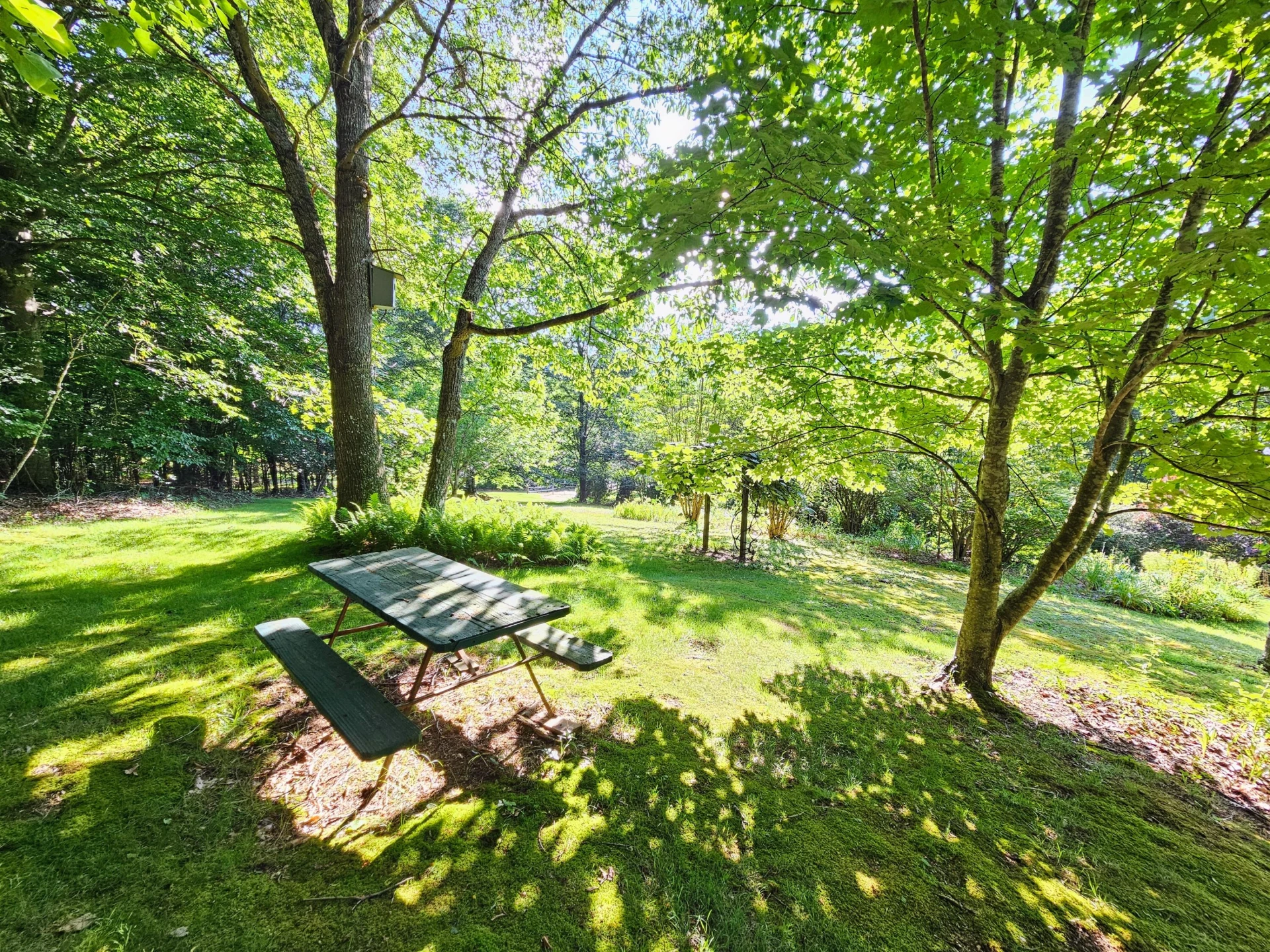 8438 Cumberland Gap RD - Photo 32