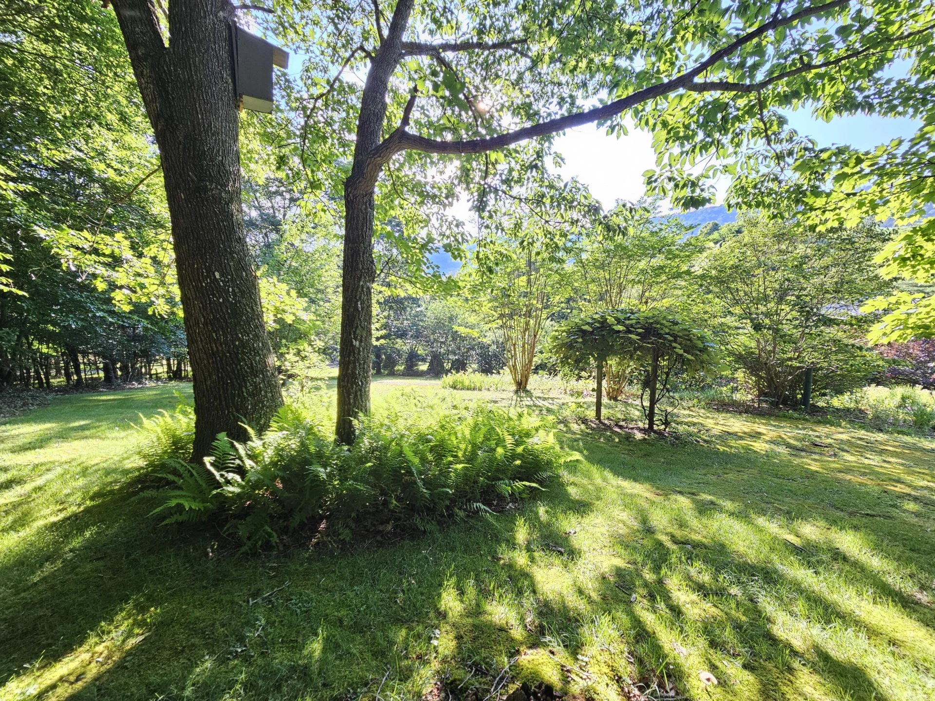 8438 Cumberland Gap RD - Photo 33