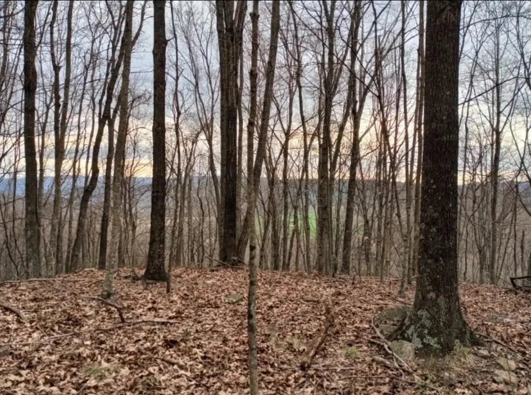 2358 Wood Town RD - Photo 4