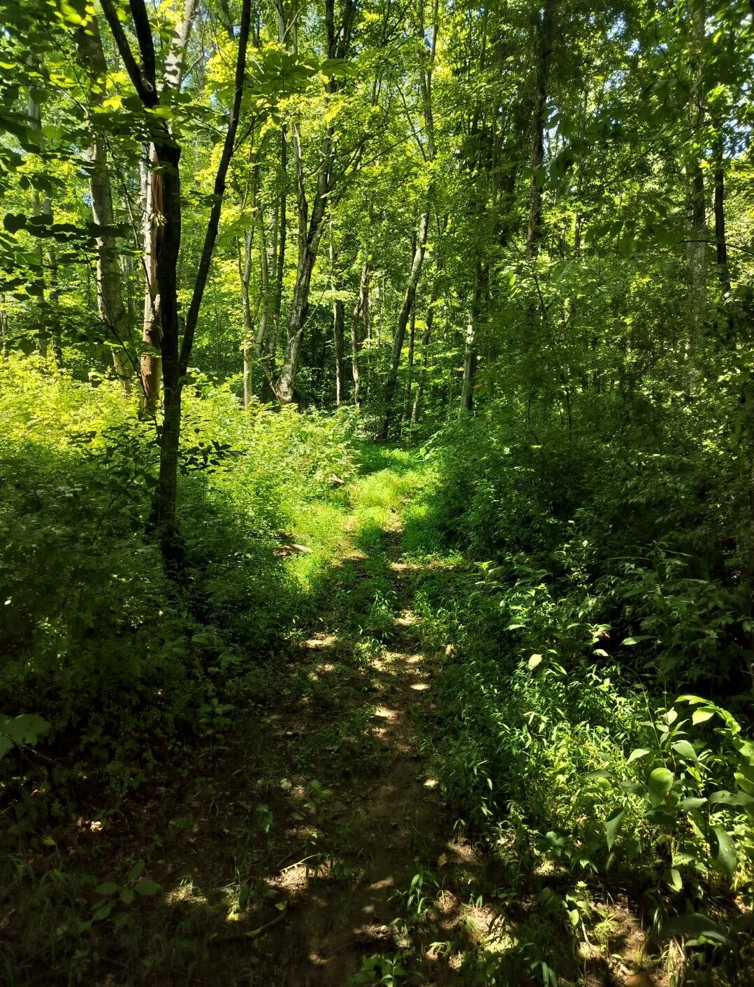 2358 Wood Town RD - Photo 5