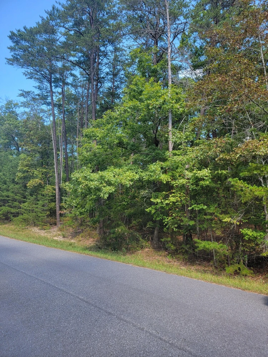 2985 New Ridge RD - Photo 2