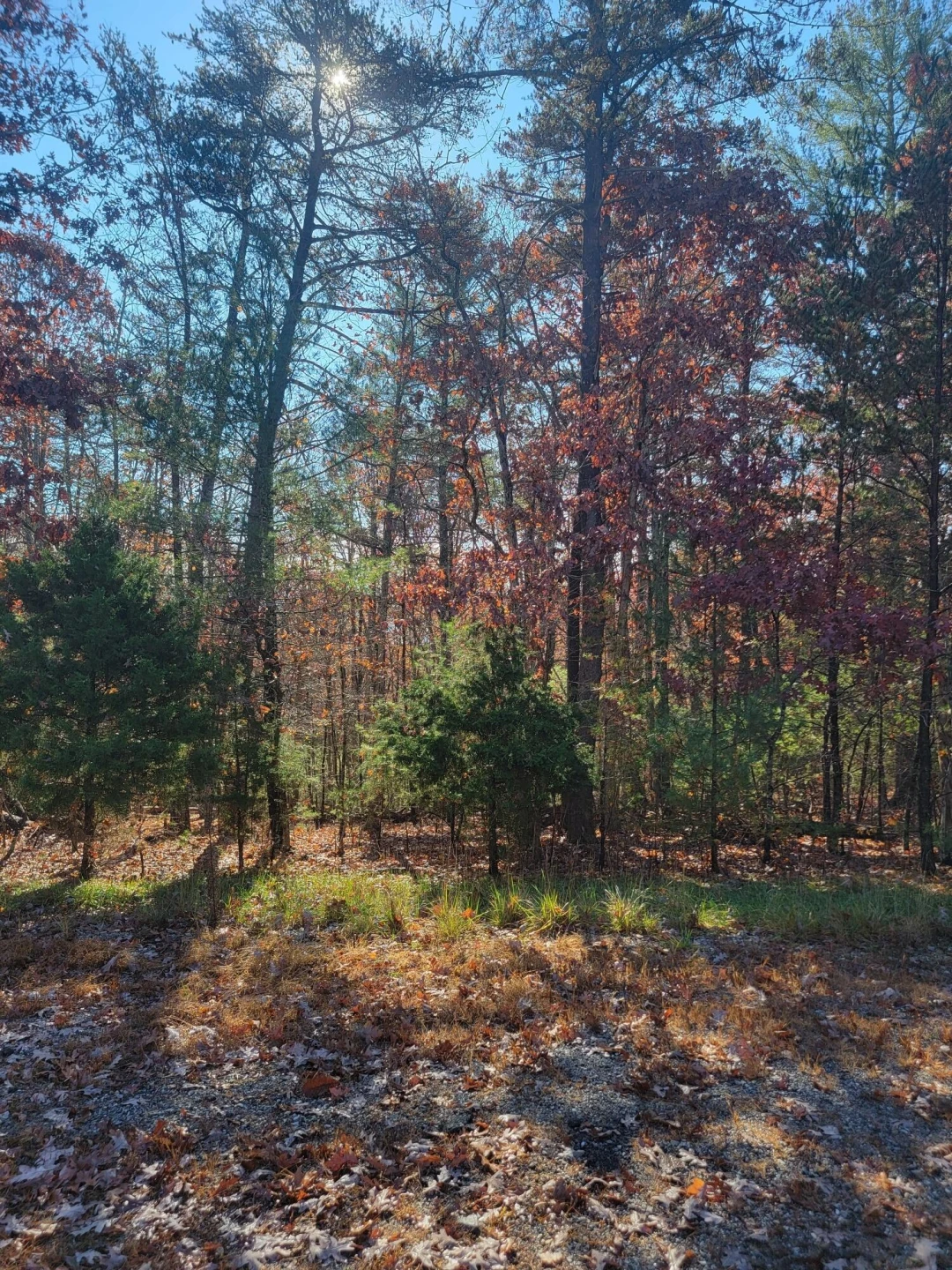 2930 New Ridge RD - Photo 2