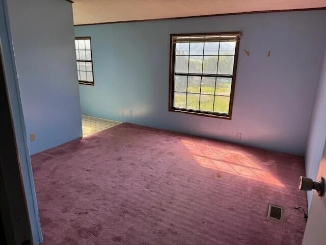 402 Mountain Meadow DR - Photo 10
