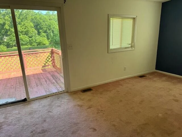 402 Mountain Meadow DR - Photo 23
