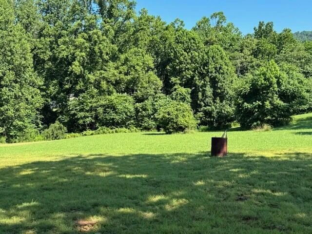 402 Mountain Meadow DR - Photo 31
