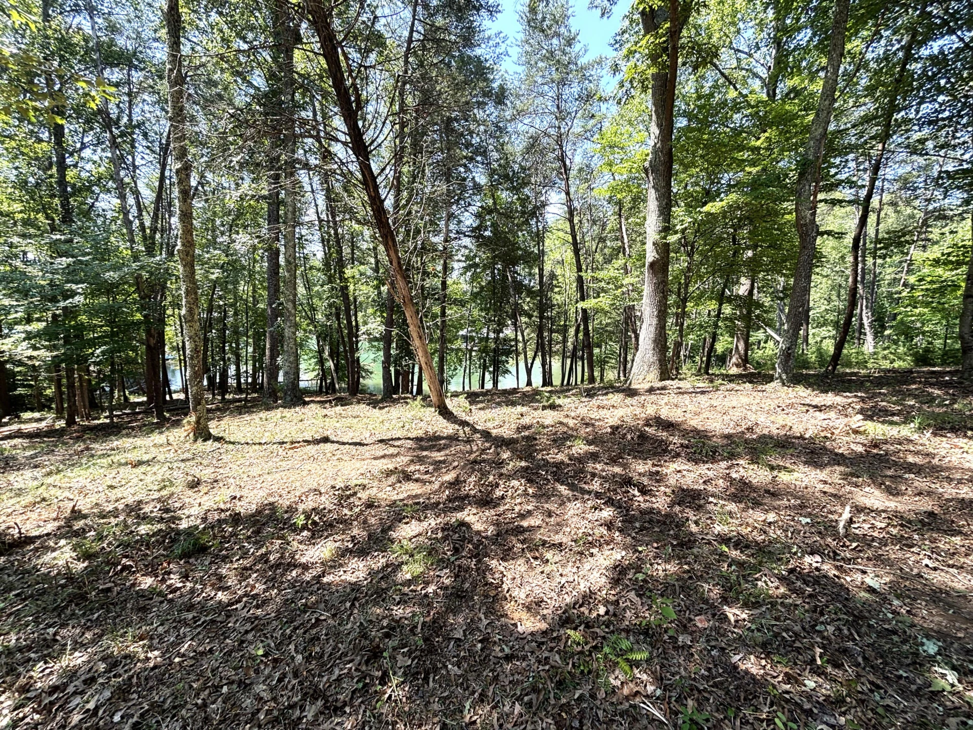 Lot 24 JFK Blvd. - Photo 10