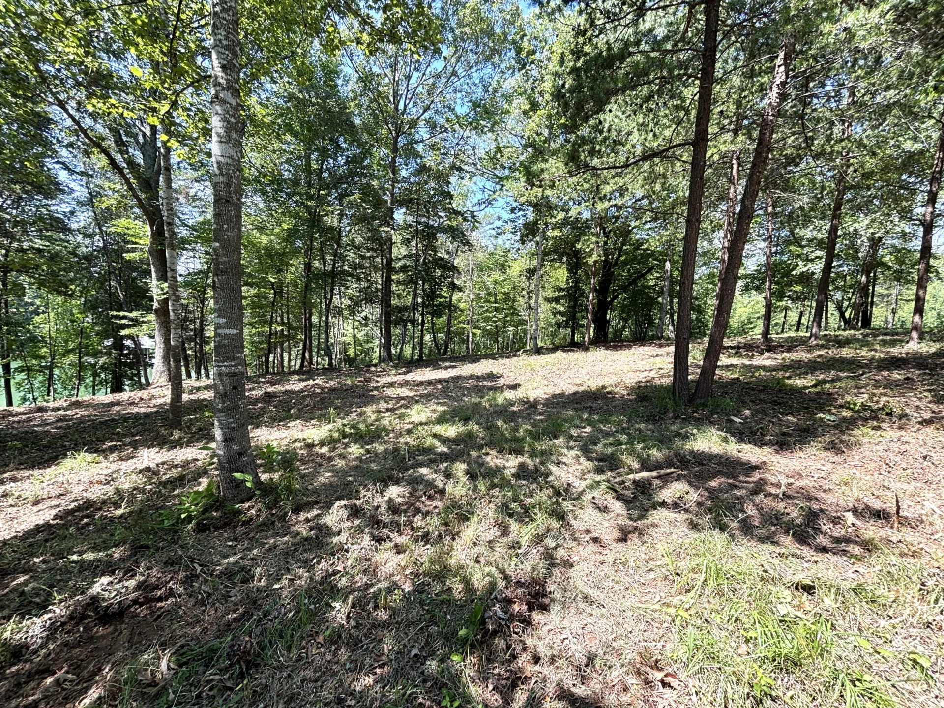 Lot 24 JFK Blvd. - Photo 12