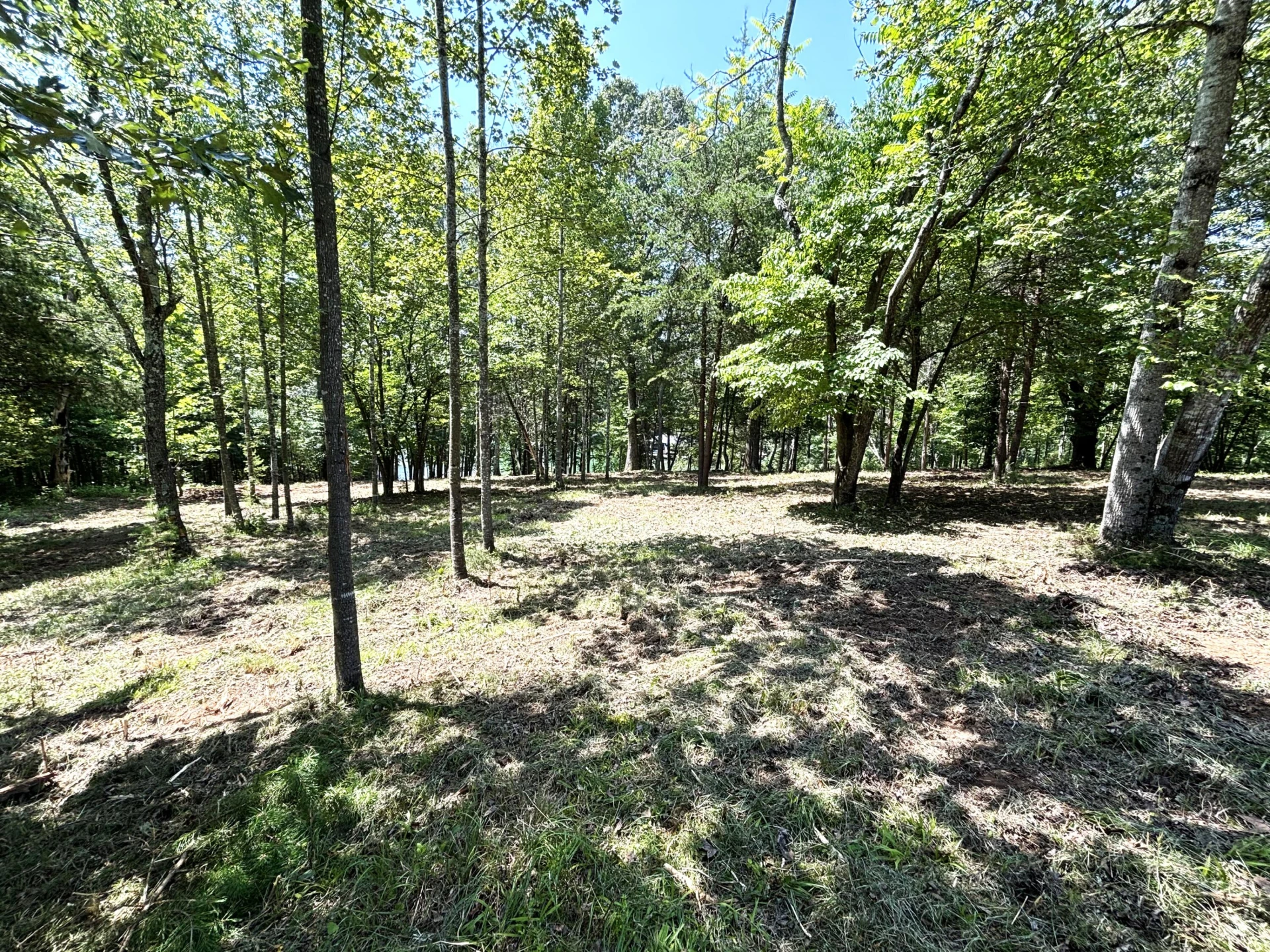 Lot 24 JFK Blvd. - Photo 13