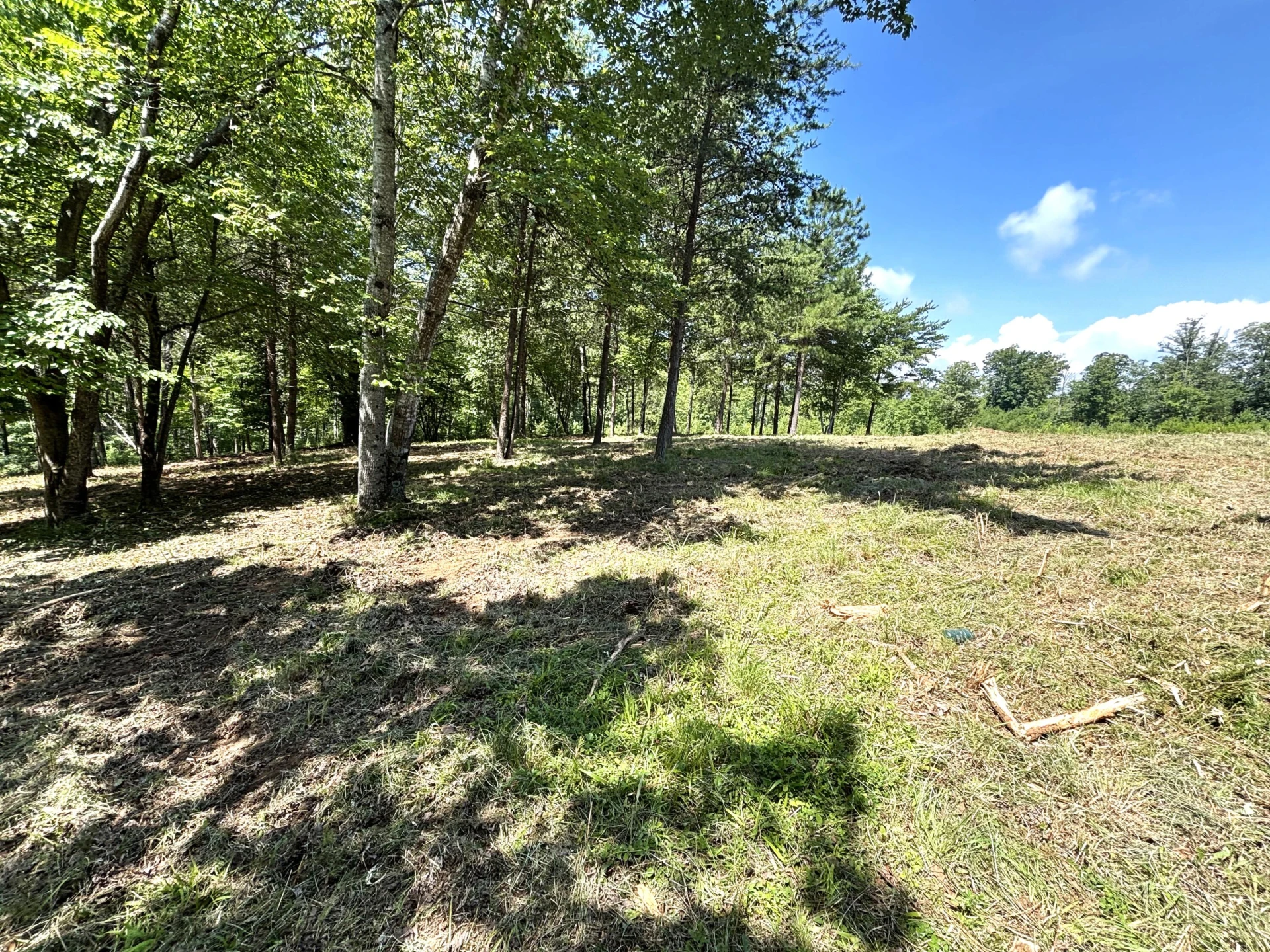 Lot 24 JFK Blvd. - Photo 14