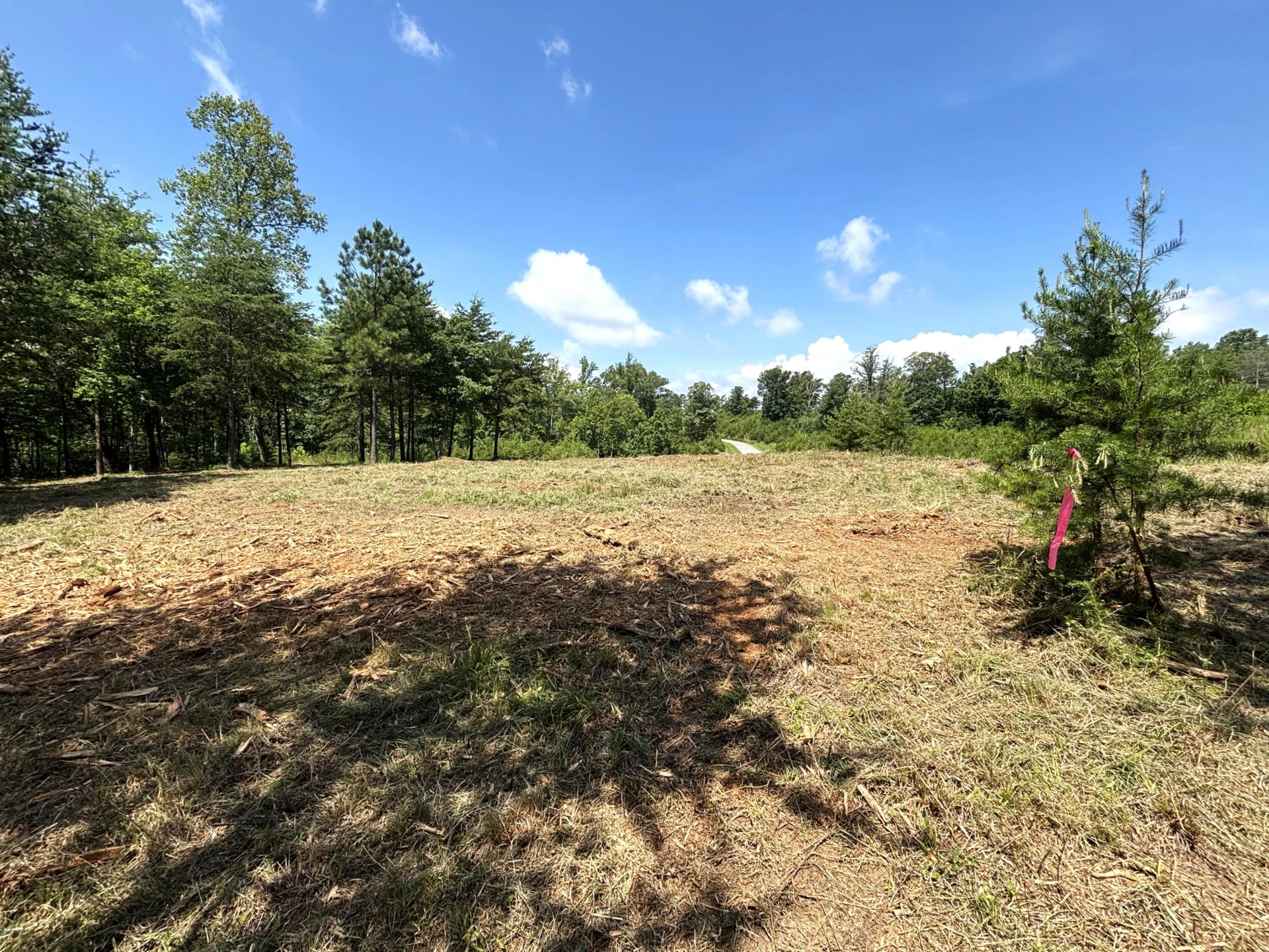 Lot 24 JFK Blvd. - Photo 15