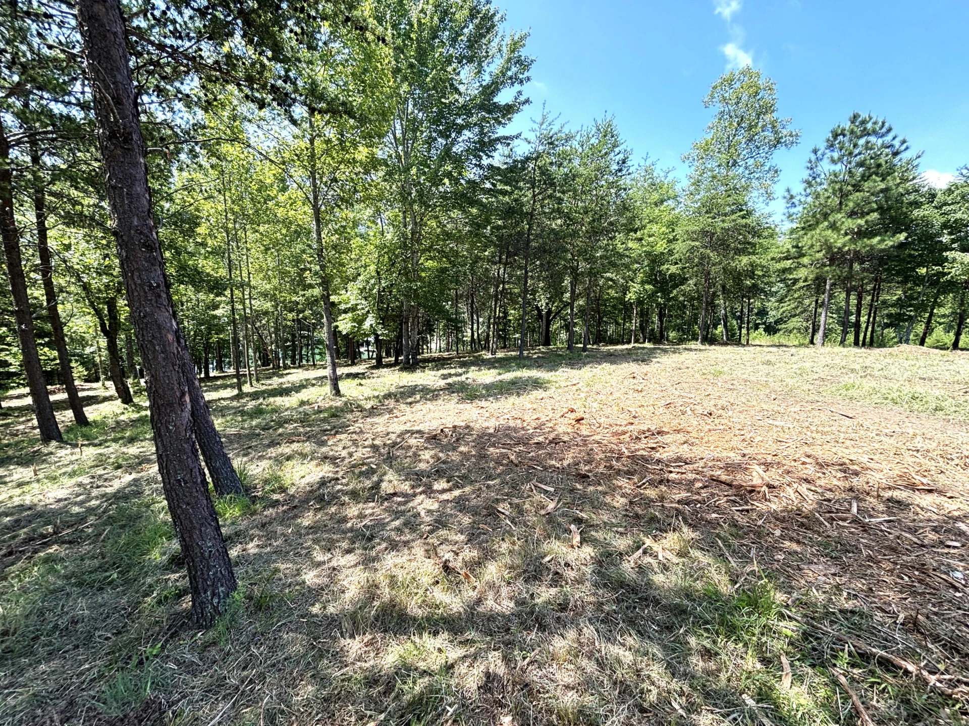 Lot 24 JFK Blvd. - Photo 16