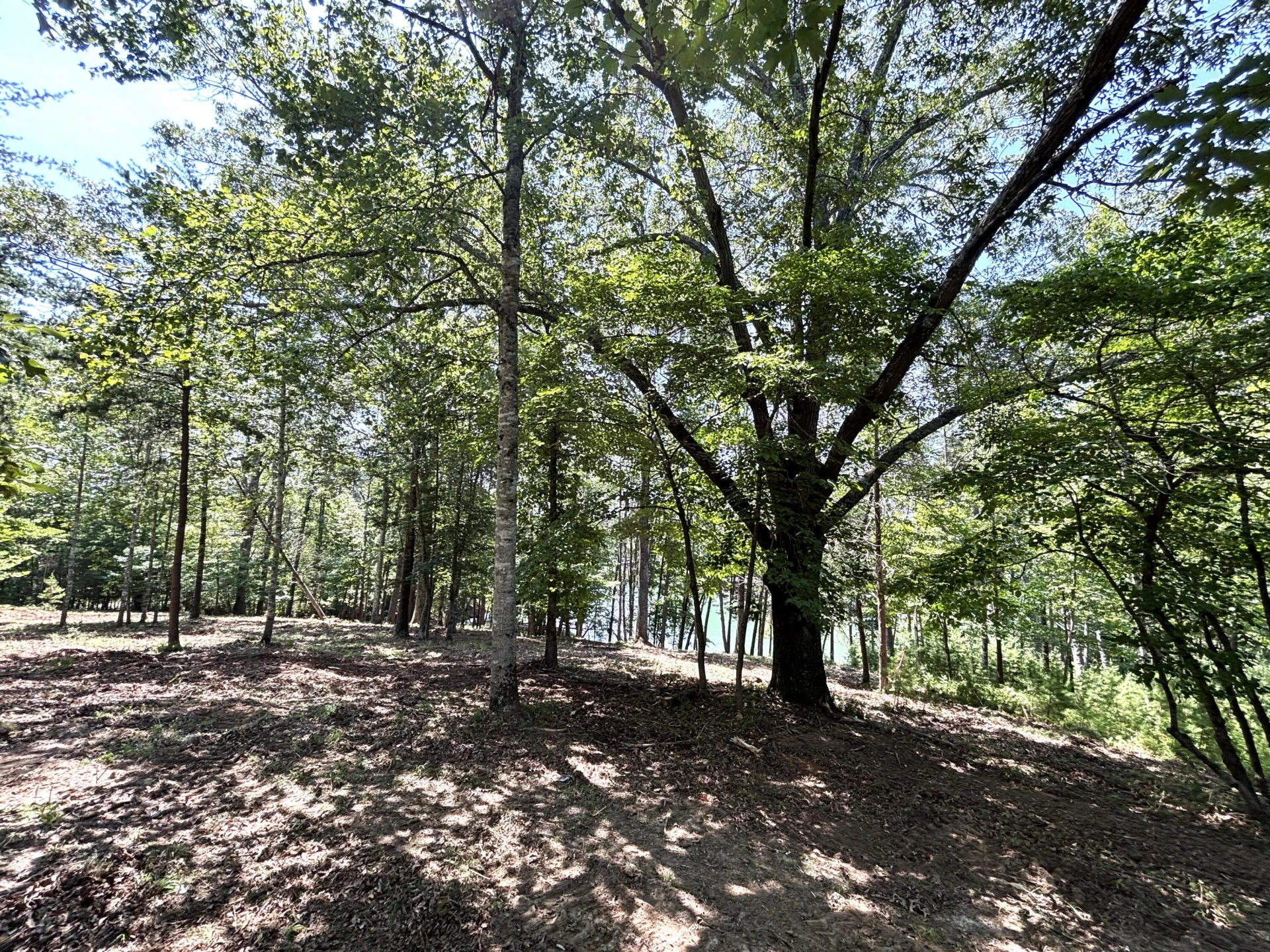 Lot 24 JFK Blvd. - Photo 18