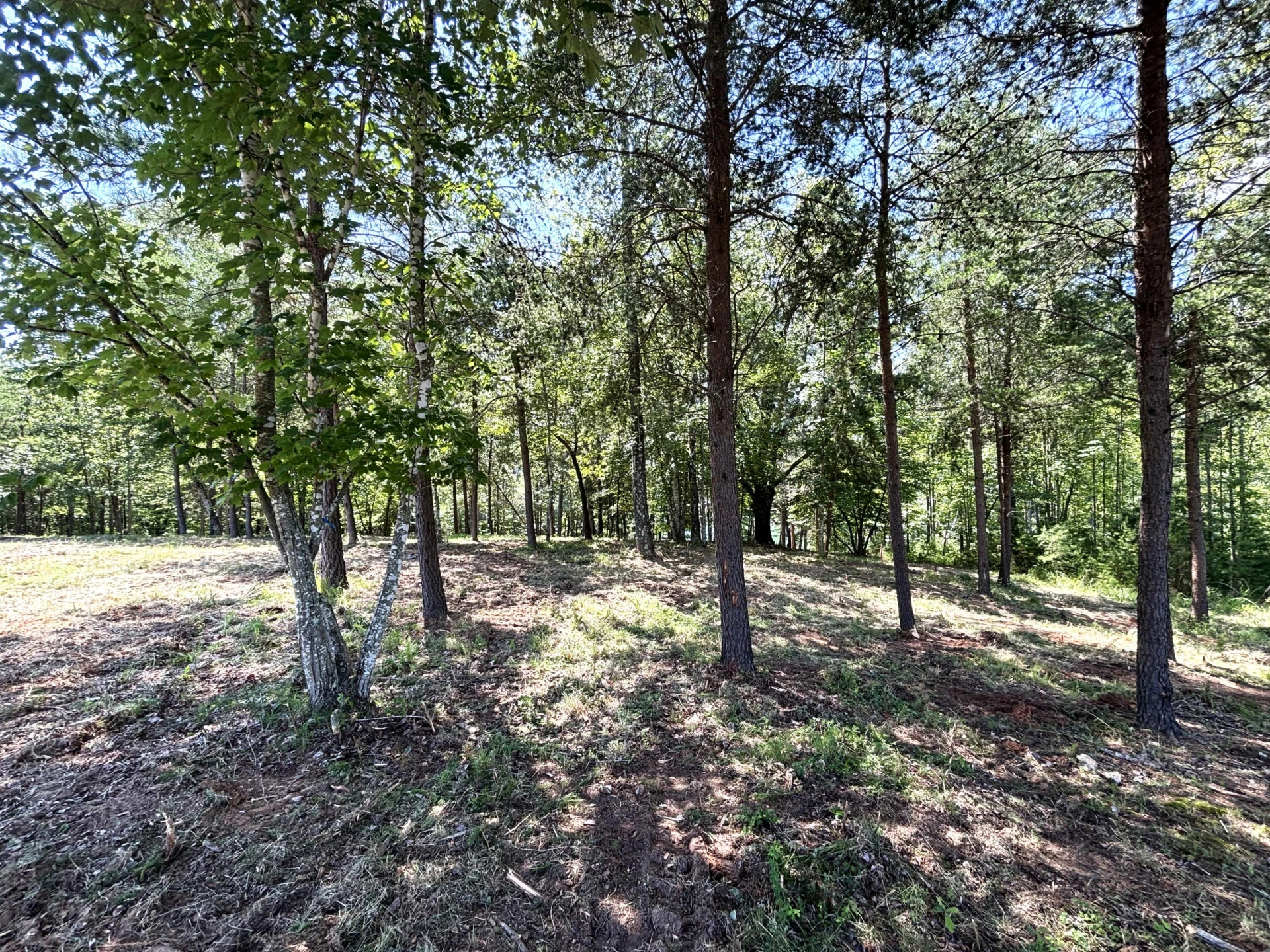 Lot 24 JFK Blvd. - Photo 19