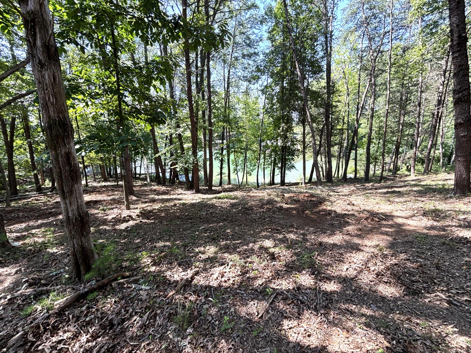 Lot 24 JFK Blvd. - Photo 9