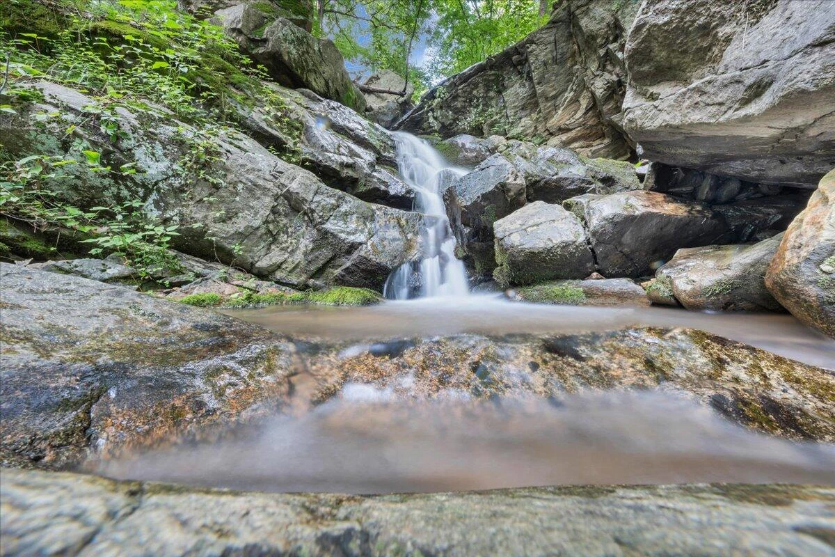 5340 Sandy Ford RD - Photo 55