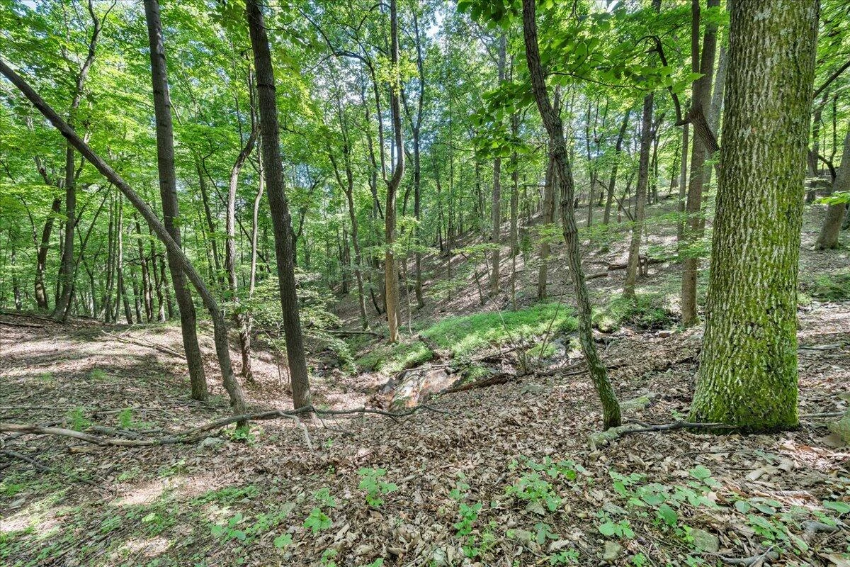 5340 Sandy Ford RD - Photo 57