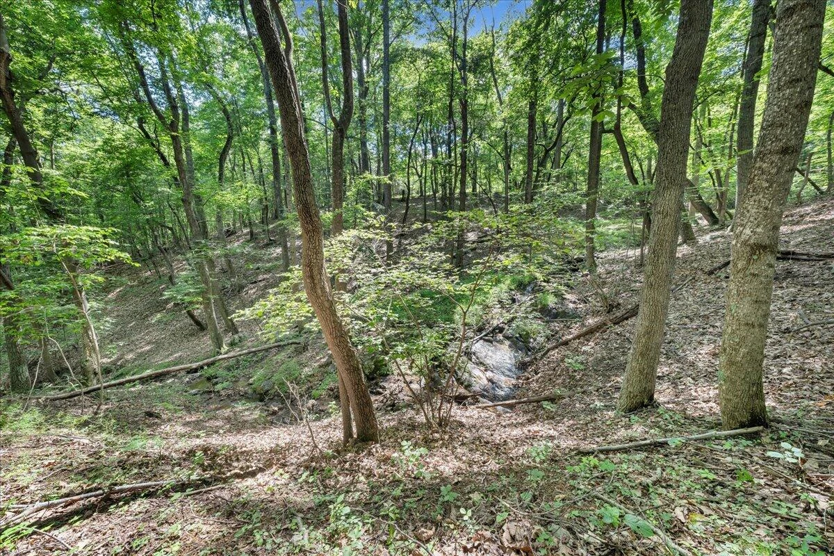 5340 Sandy Ford RD - Photo 58