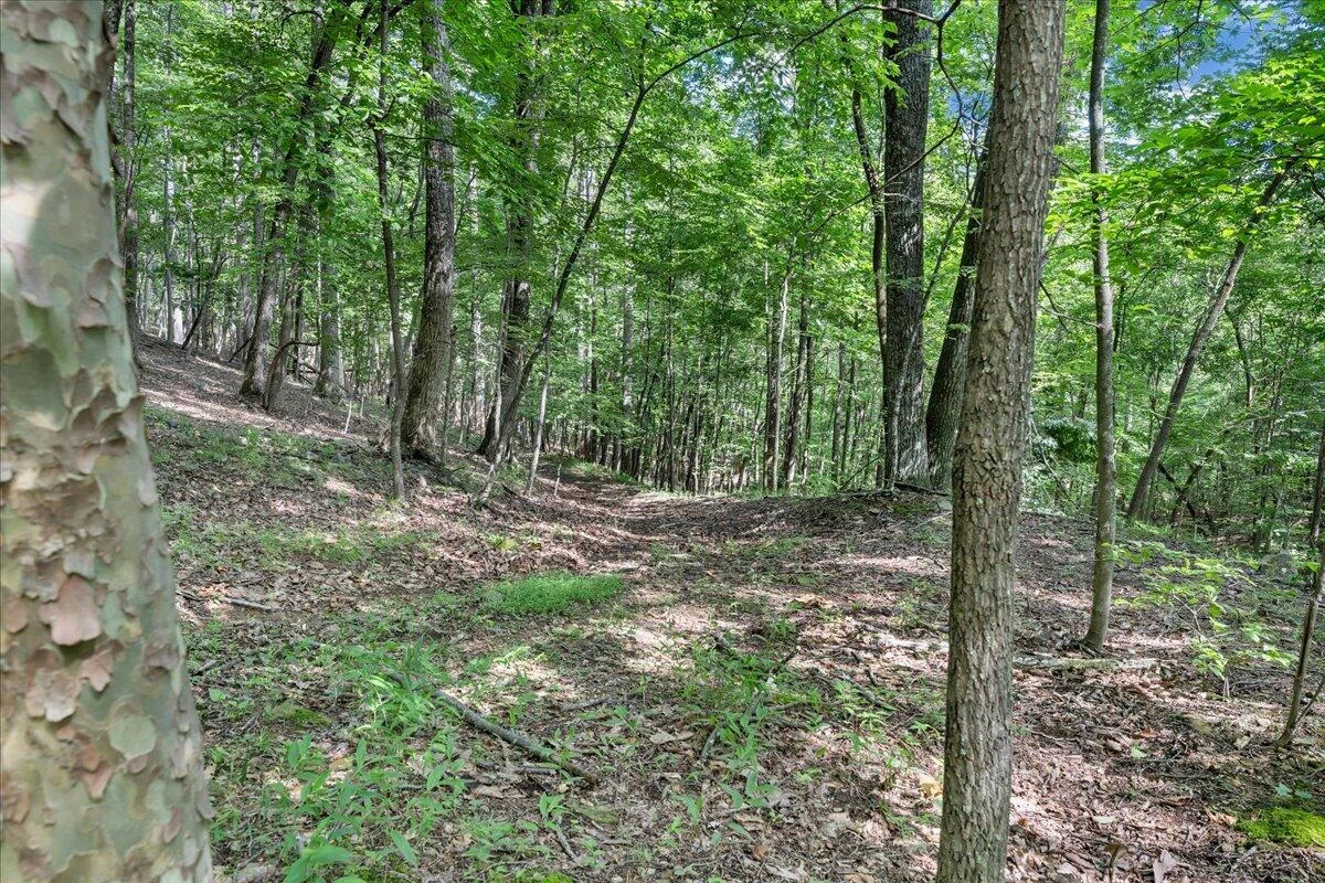 5340 Sandy Ford RD - Photo 59