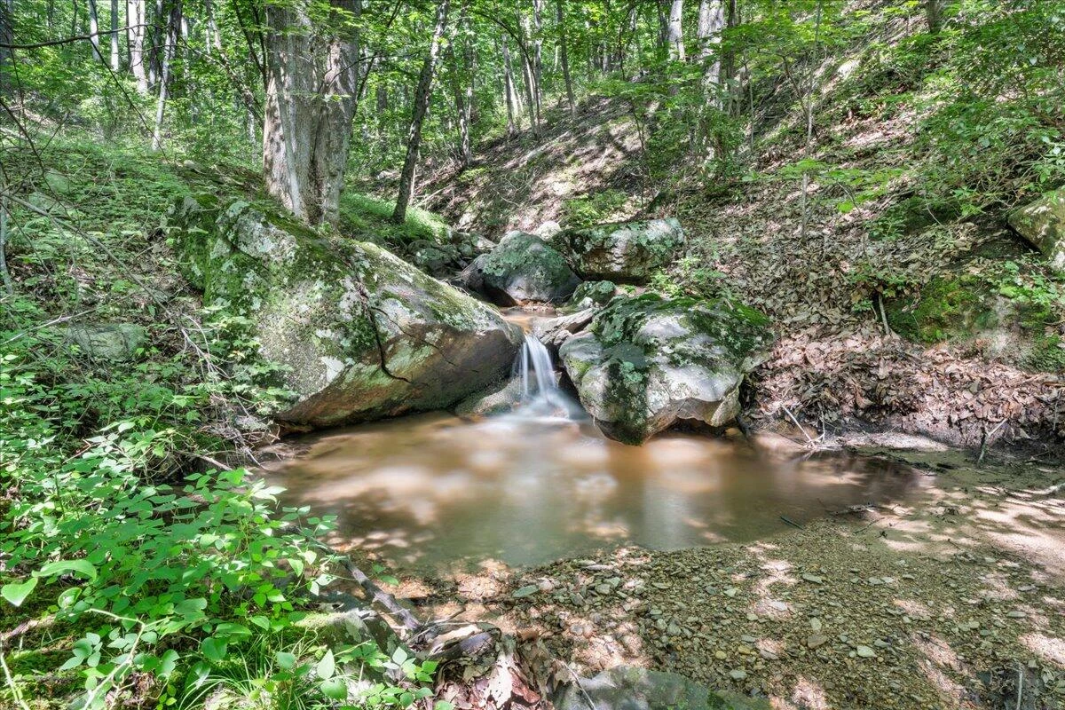 5340 Sandy Ford RD - Photo 60