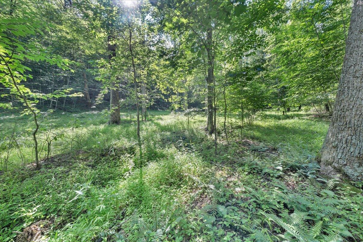 5340 Sandy Ford RD - Photo 61