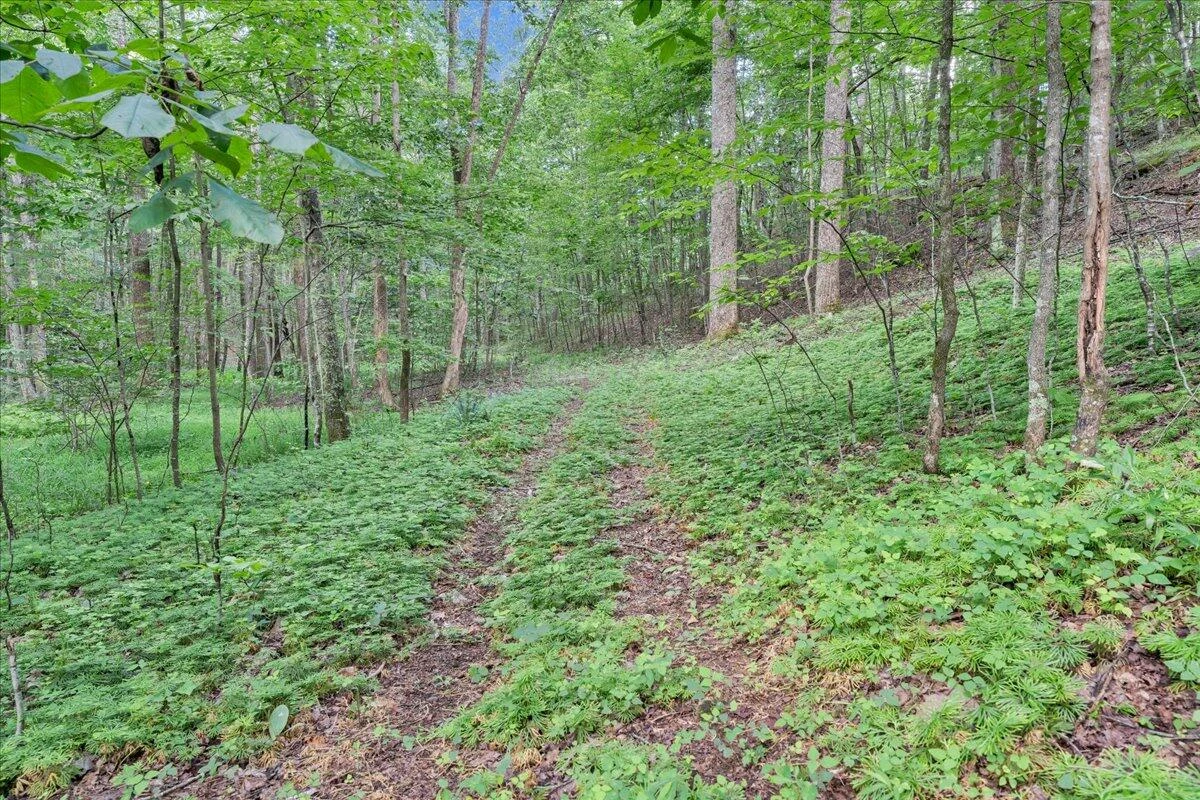 5340 Sandy Ford RD - Photo 63