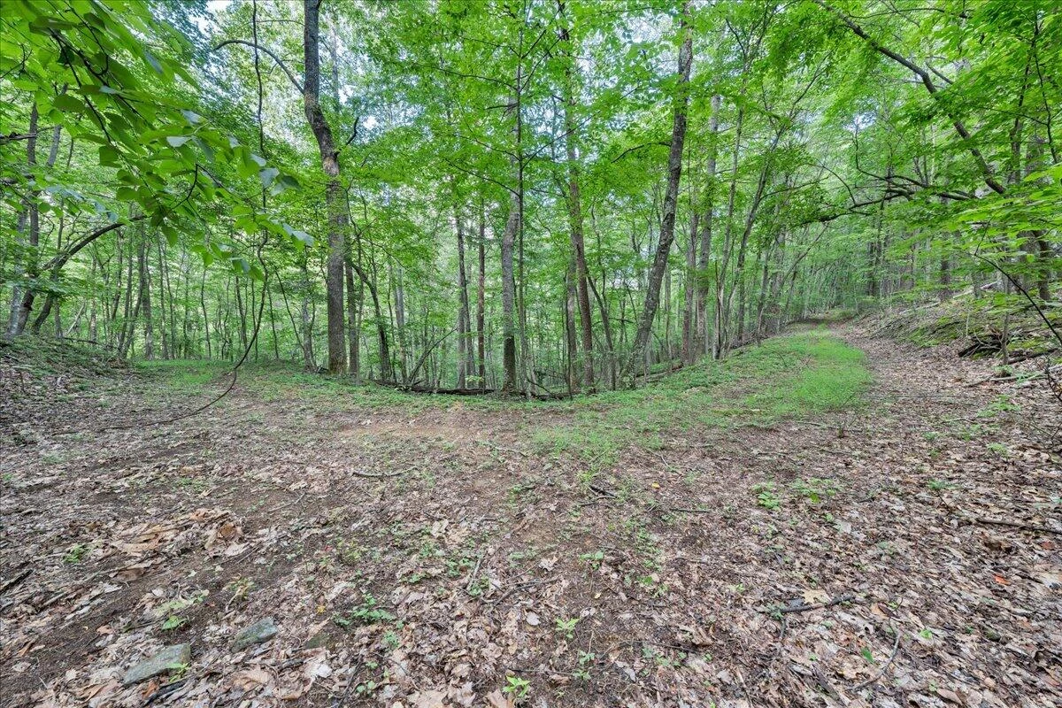 5340 Sandy Ford RD - Photo 64