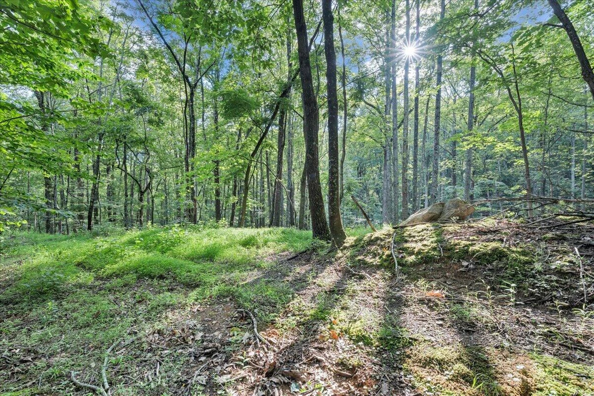5340 Sandy Ford RD - Photo 65