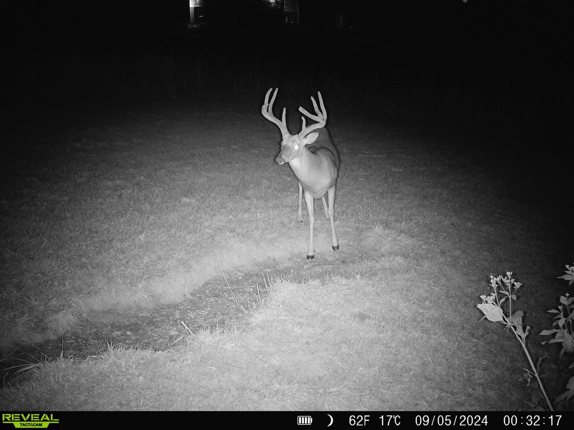 5340 Sandy Ford RD - Photo 74
