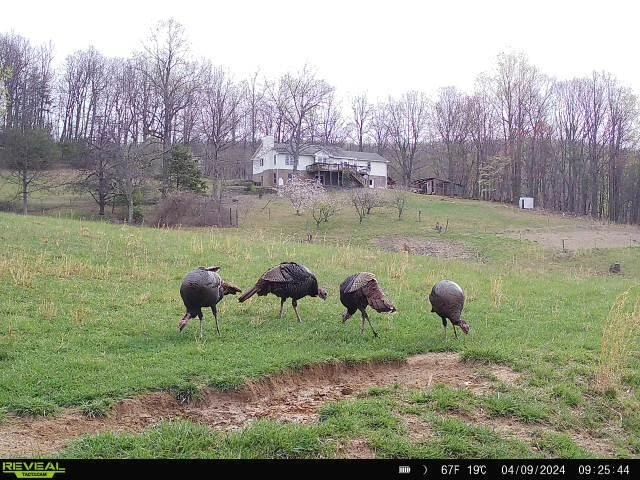 5340 Sandy Ford RD - Photo 75