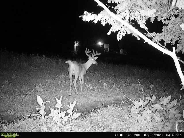 5340 Sandy Ford RD - Photo 77