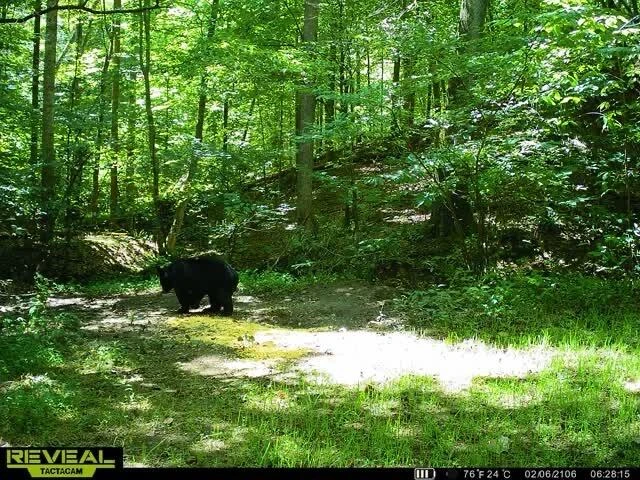 5340 Sandy Ford RD - Photo 78