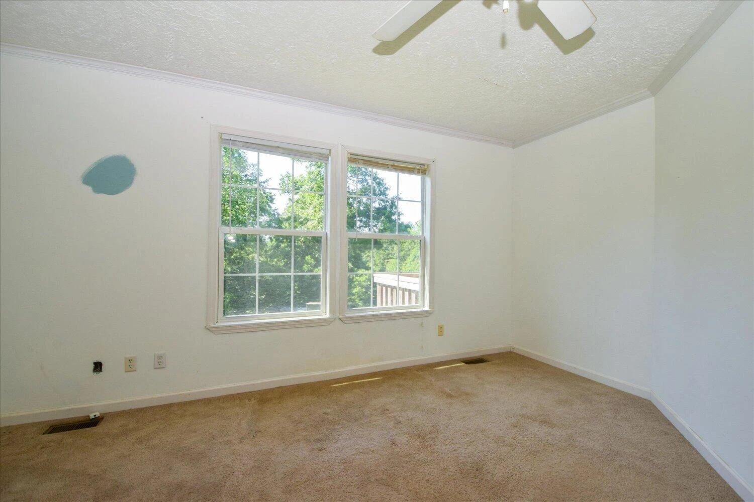 3706 Sunflower RD - Photo 28