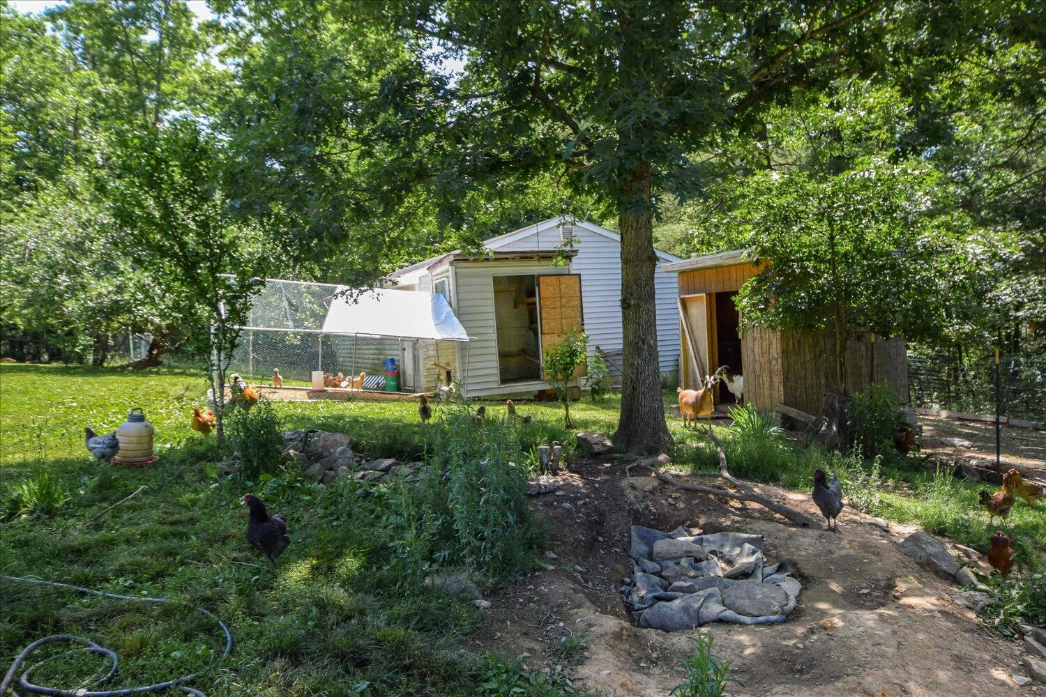 3706 Sunflower RD - Photo 40