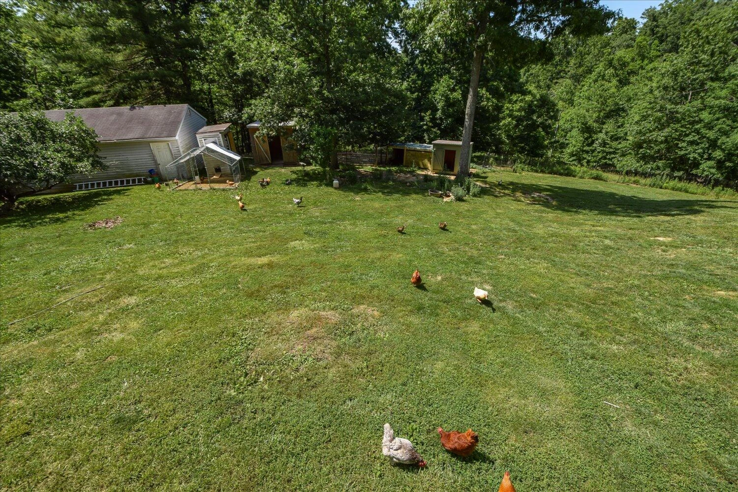 3706 Sunflower RD - Photo 41