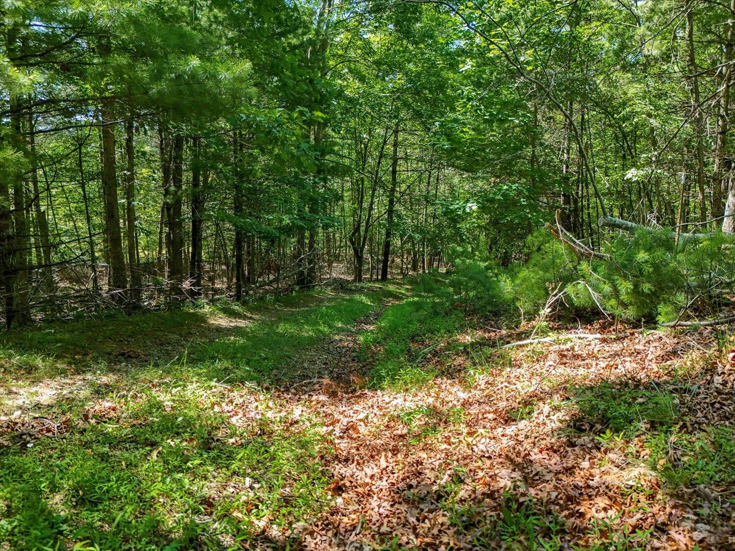 3706 Sunflower RD - Photo 47