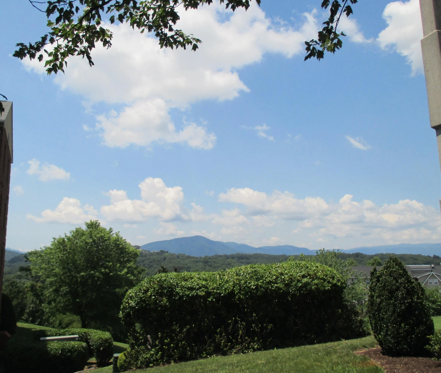 4434 Pheasant Ridge RD #306 - Photo 19