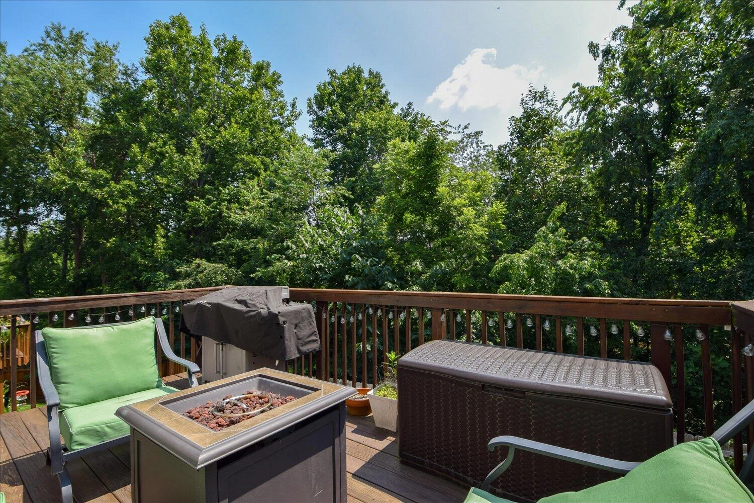 3065 Isabel LN - Photo 31