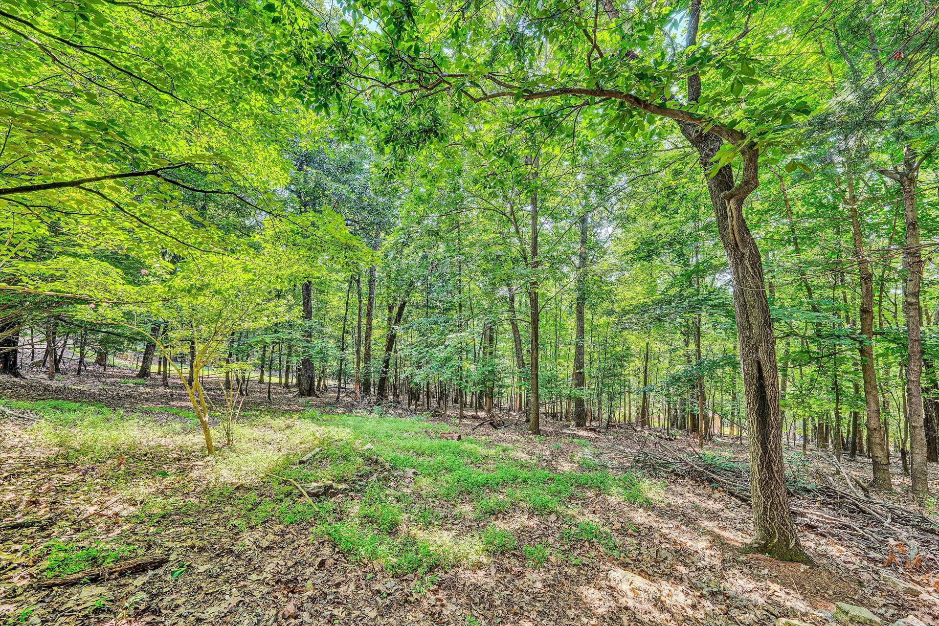 2402 Coachman DR - Photo 47