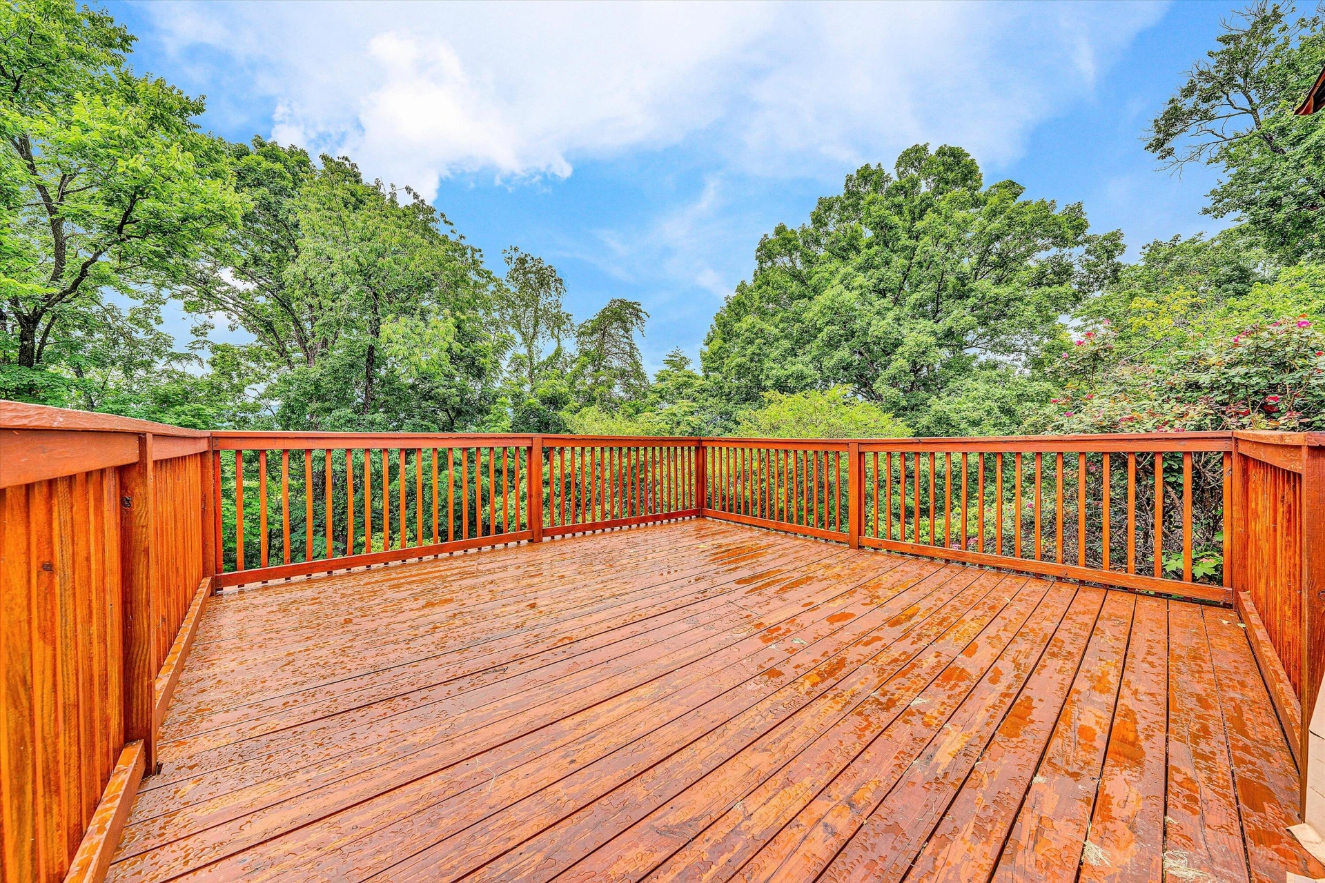 3285 Rasmont RD - Photo 38