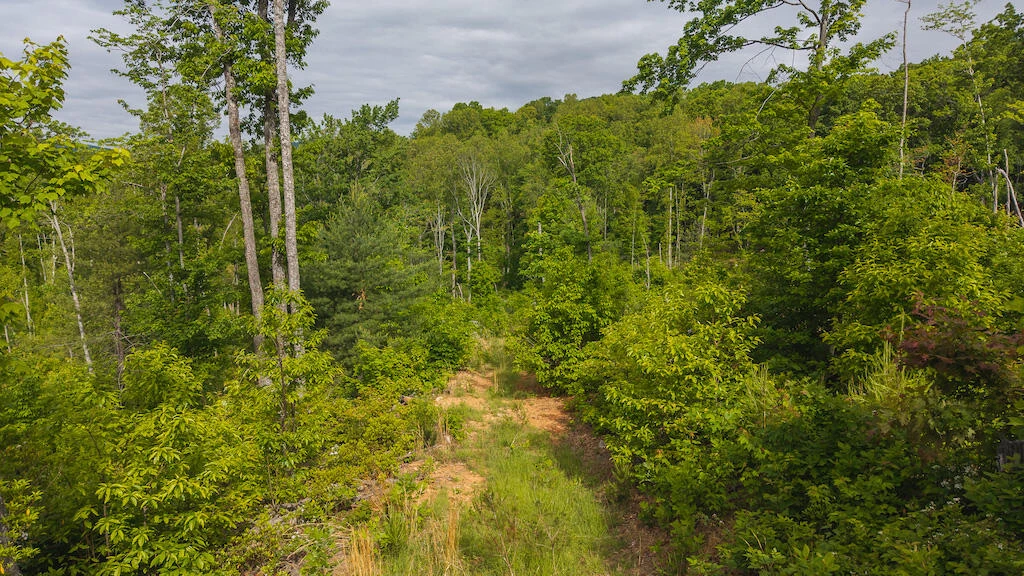Lot 2 Shortcut DR
