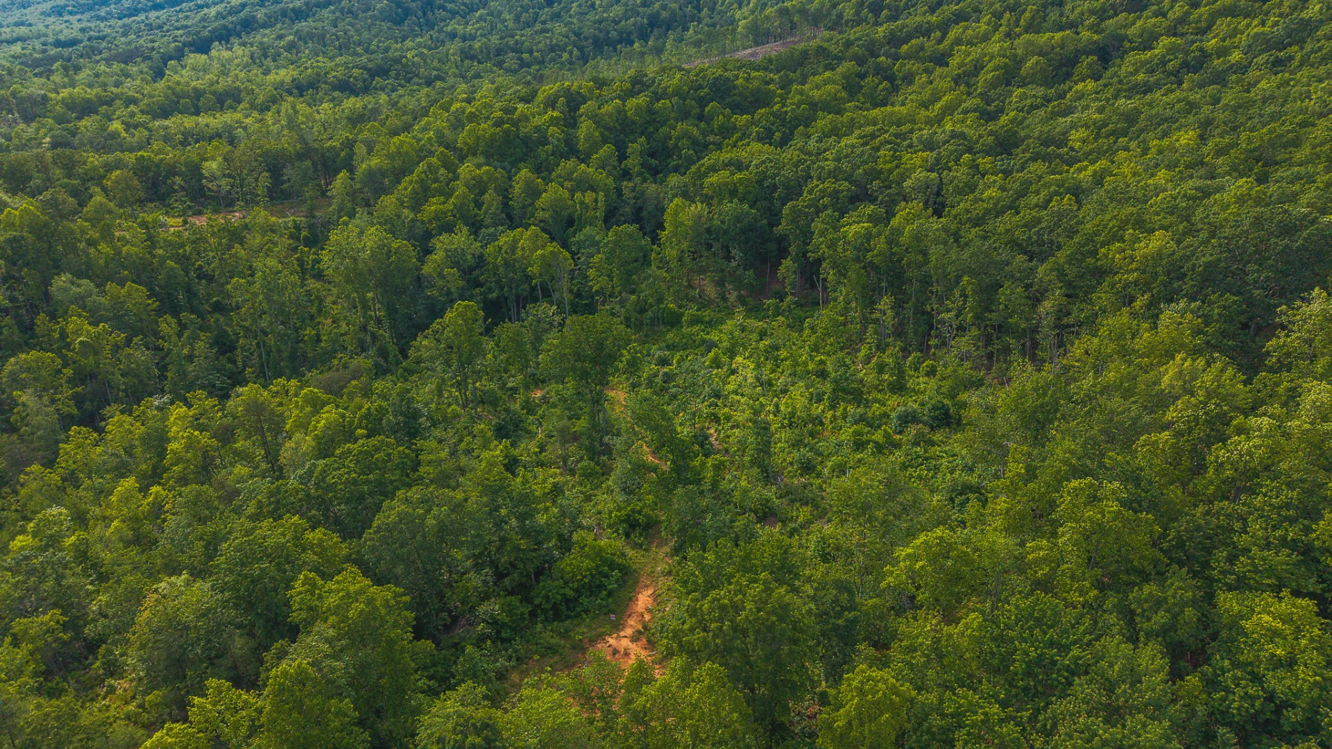 Lot 2 Shortcut DR - Photo 10